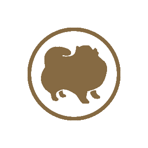 Jean Fred Noel Österreich